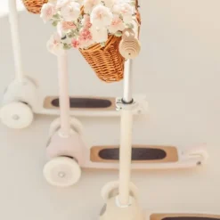 Banwood Step - Pale Mint