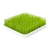 Boon Afdruiprekje Grass Groen