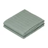 Cam Cam Copenhagen Hydrofiel Luiers Ivy Green 2 Stuks