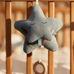 Jollein Muziekhanger Star - Sea Green