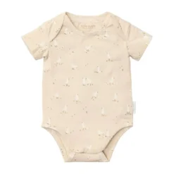 Little Dutch Boxpakje - Little Goose