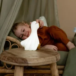 Little Dutch Little Goose Nachtlampje