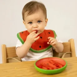 Oli & Carol Wally The Watermelon-Kale Bowl Set