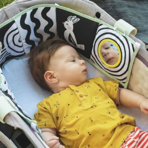 Taf Toys Koala Clip On Pram Boekje